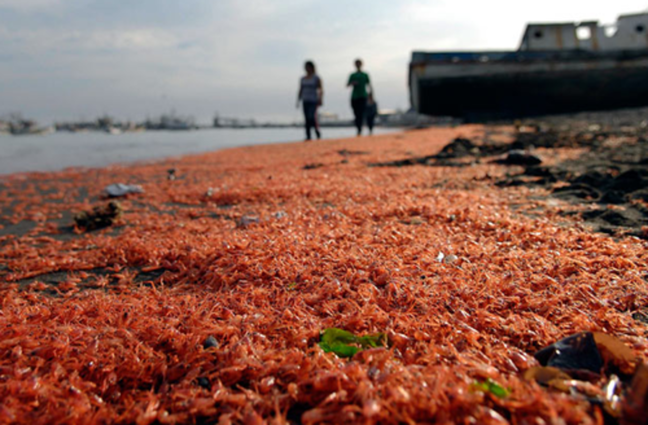 фото: newsru.com