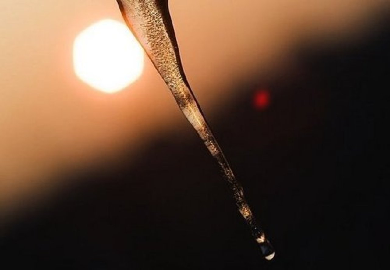 фото: rus.delfi.lv