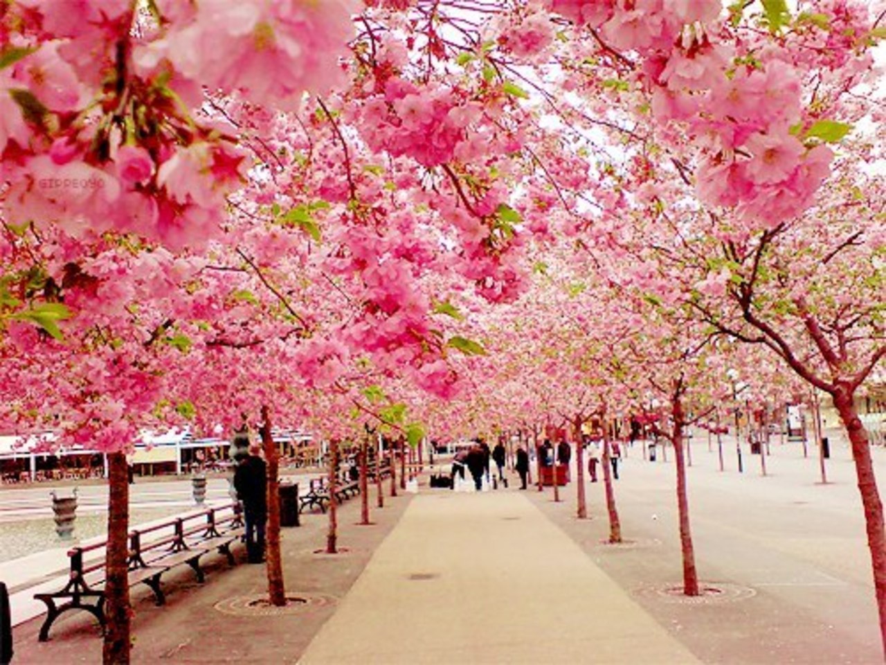 foto: travell.mybeautylife.ru