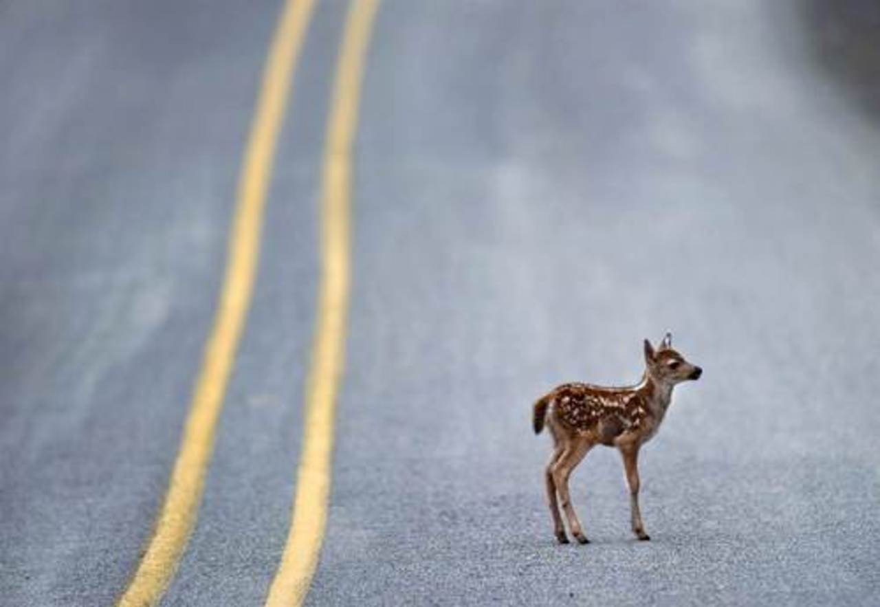 фото: newsinphoto.ru