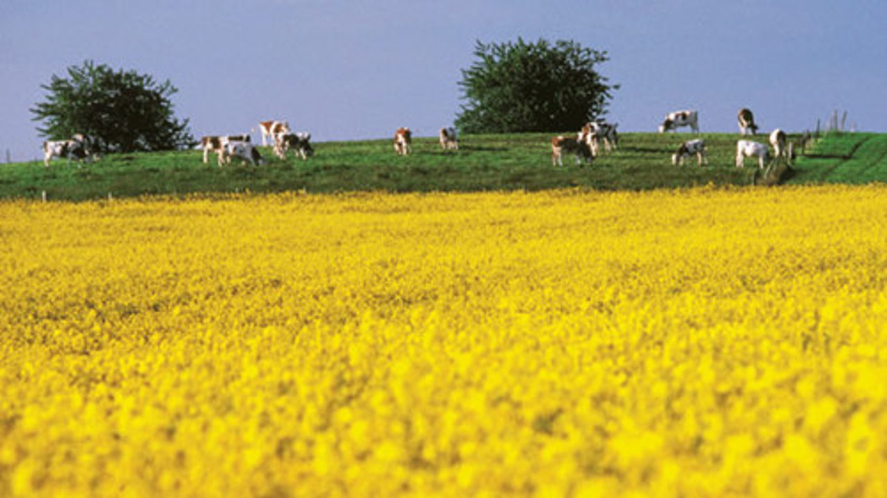 foto: eiropasnaudasavize.lv