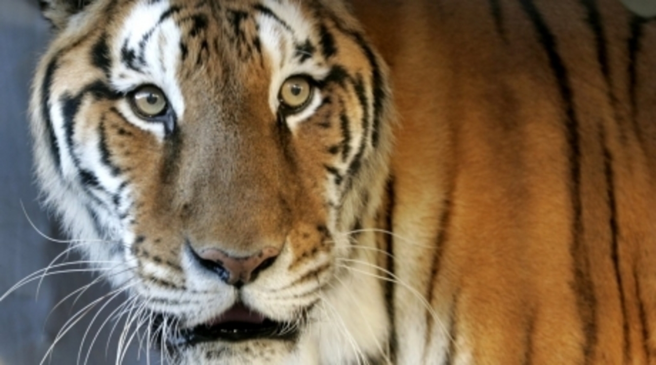 фото: tengrinews.kz