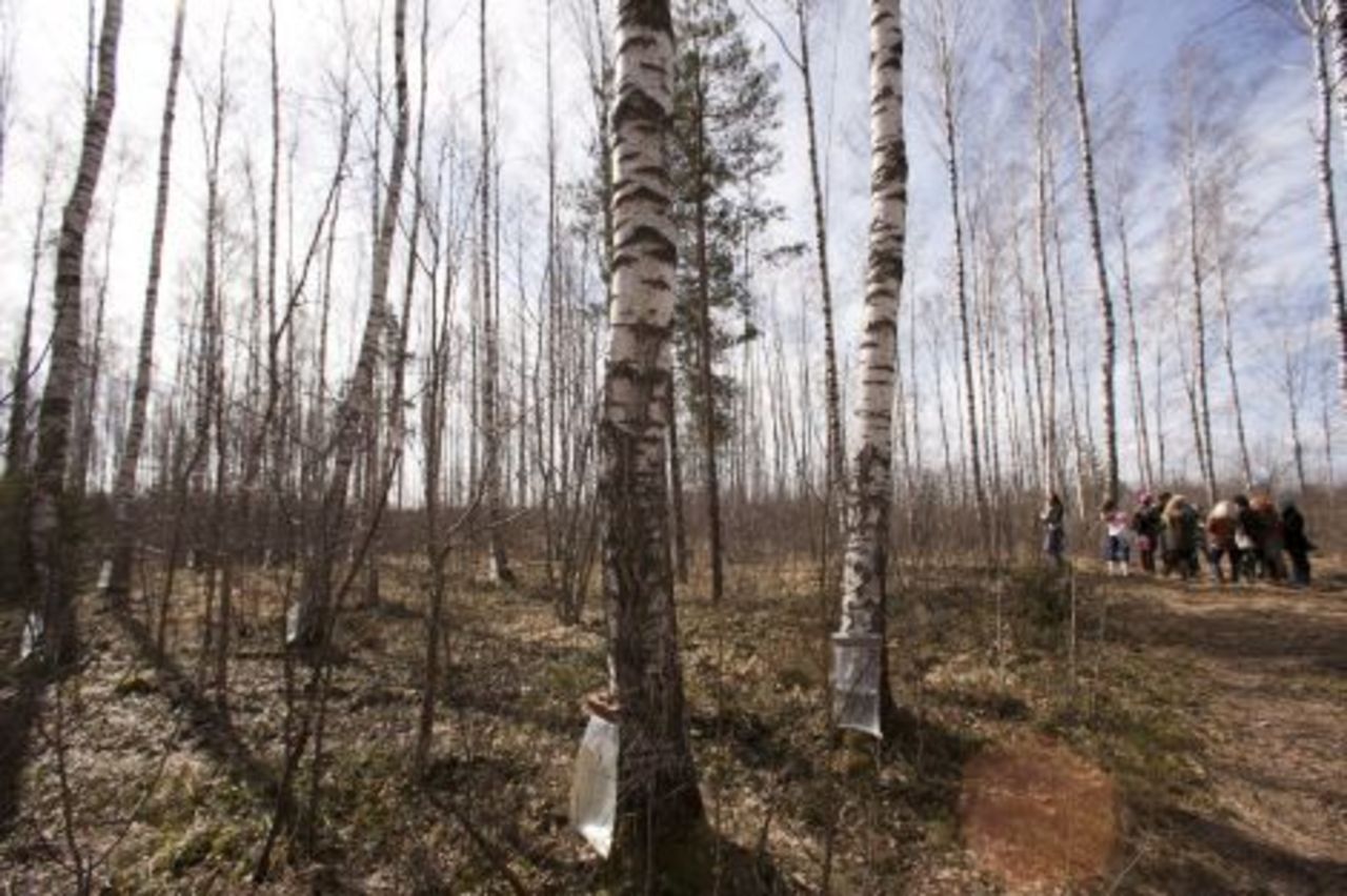 foto: lat.mixnews.lv