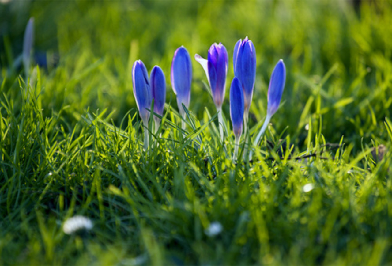 фото: nastol.com.ua