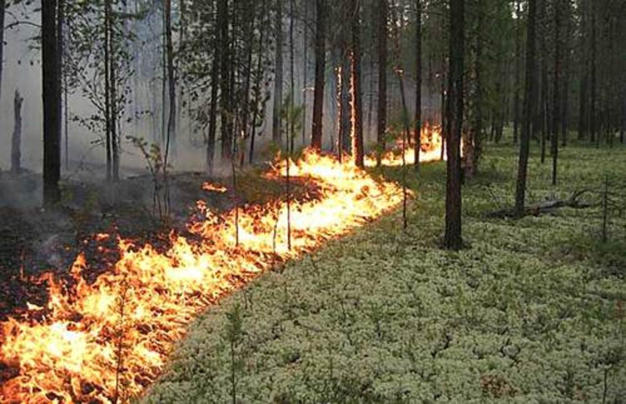 foto: ludza.lv