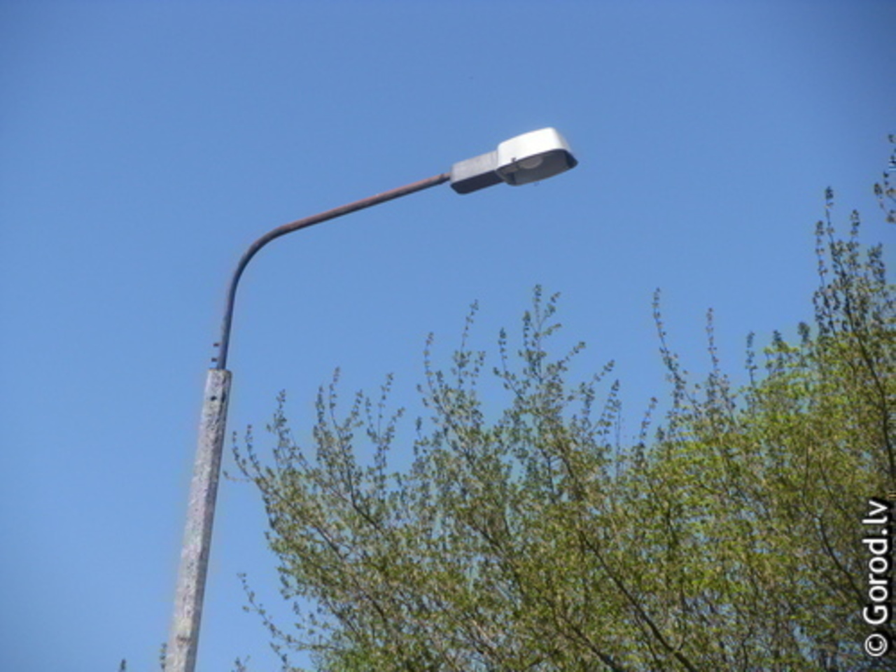 фото: gorod.lv