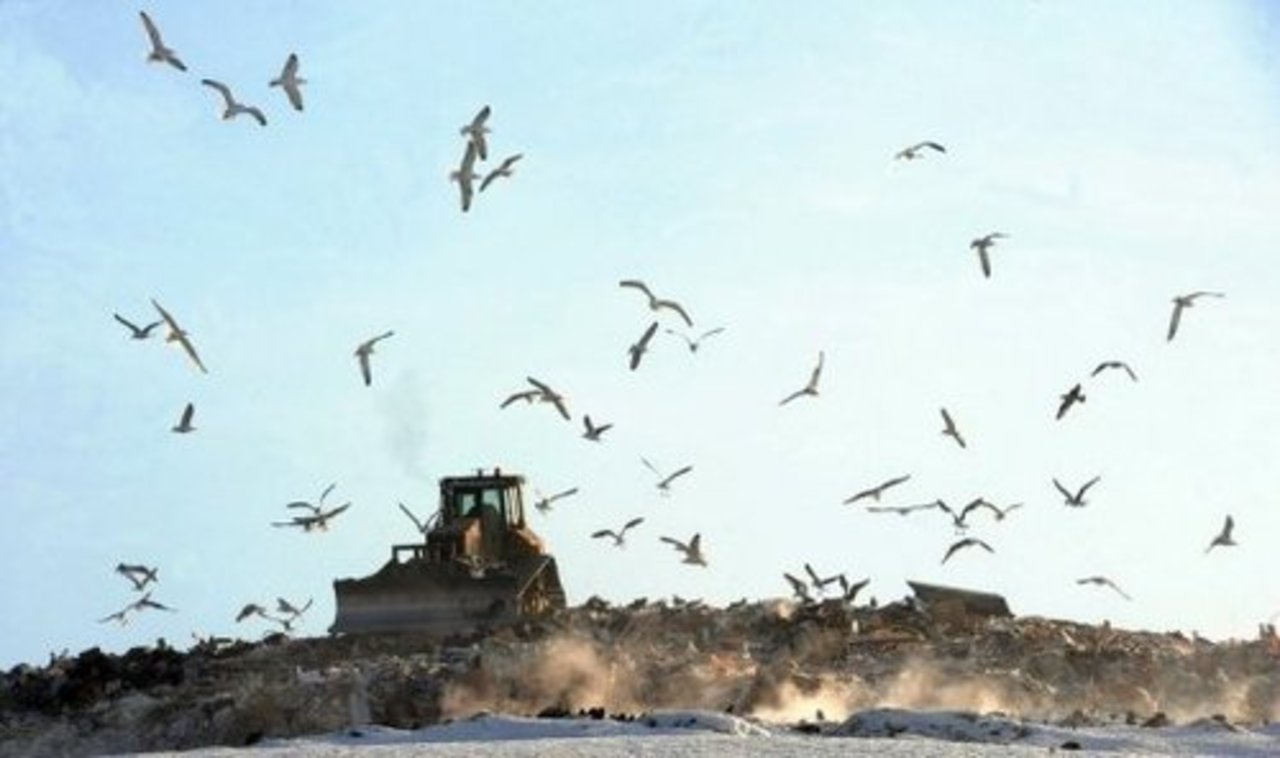 foto: tgdaily.ru