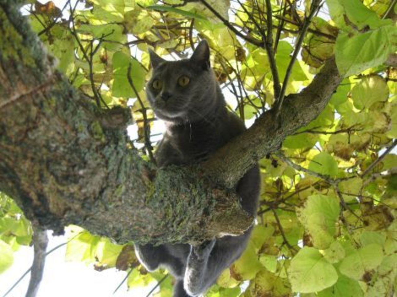 foto: lat.mixnews.lv