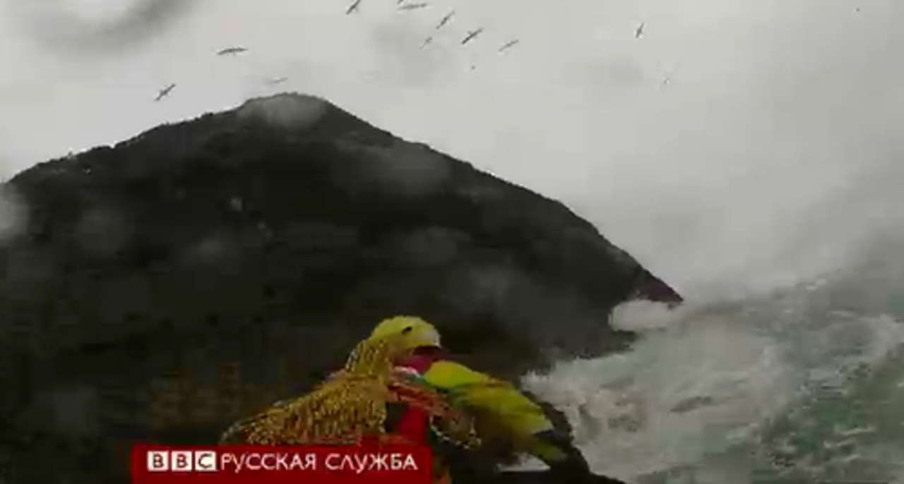 кадр из видео
