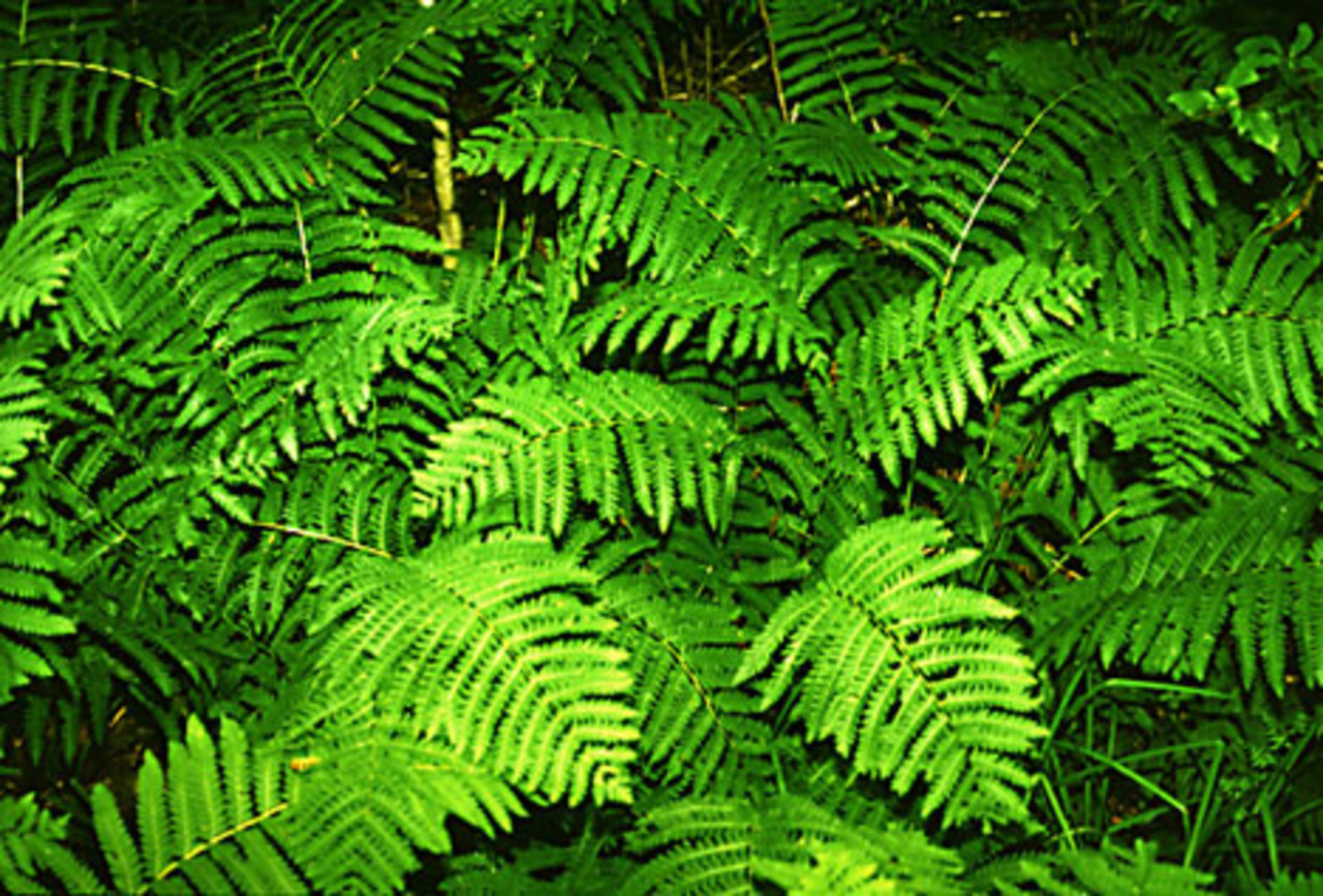 фото: liveinternet.ru