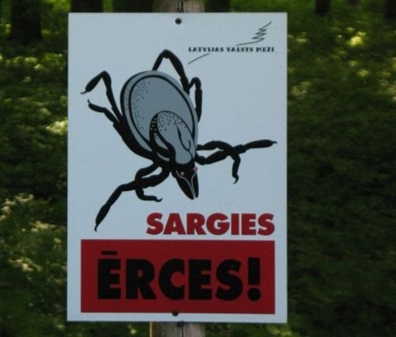 Foto: nra.lv