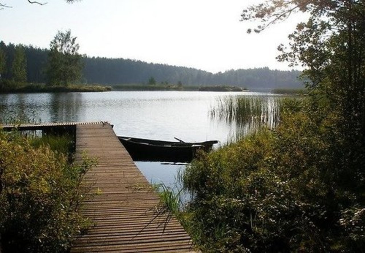 foto: delfi.lv