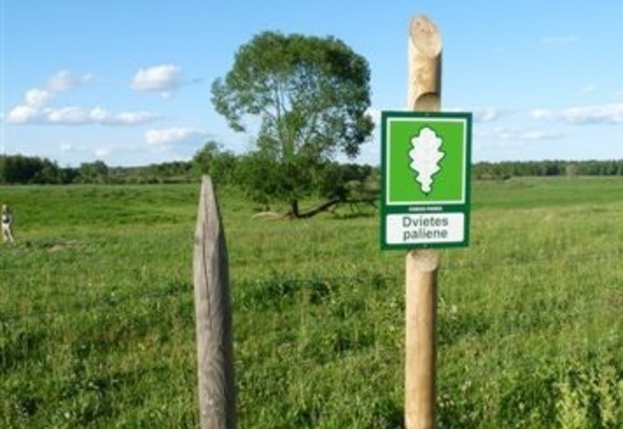 foto: ilukste.lv