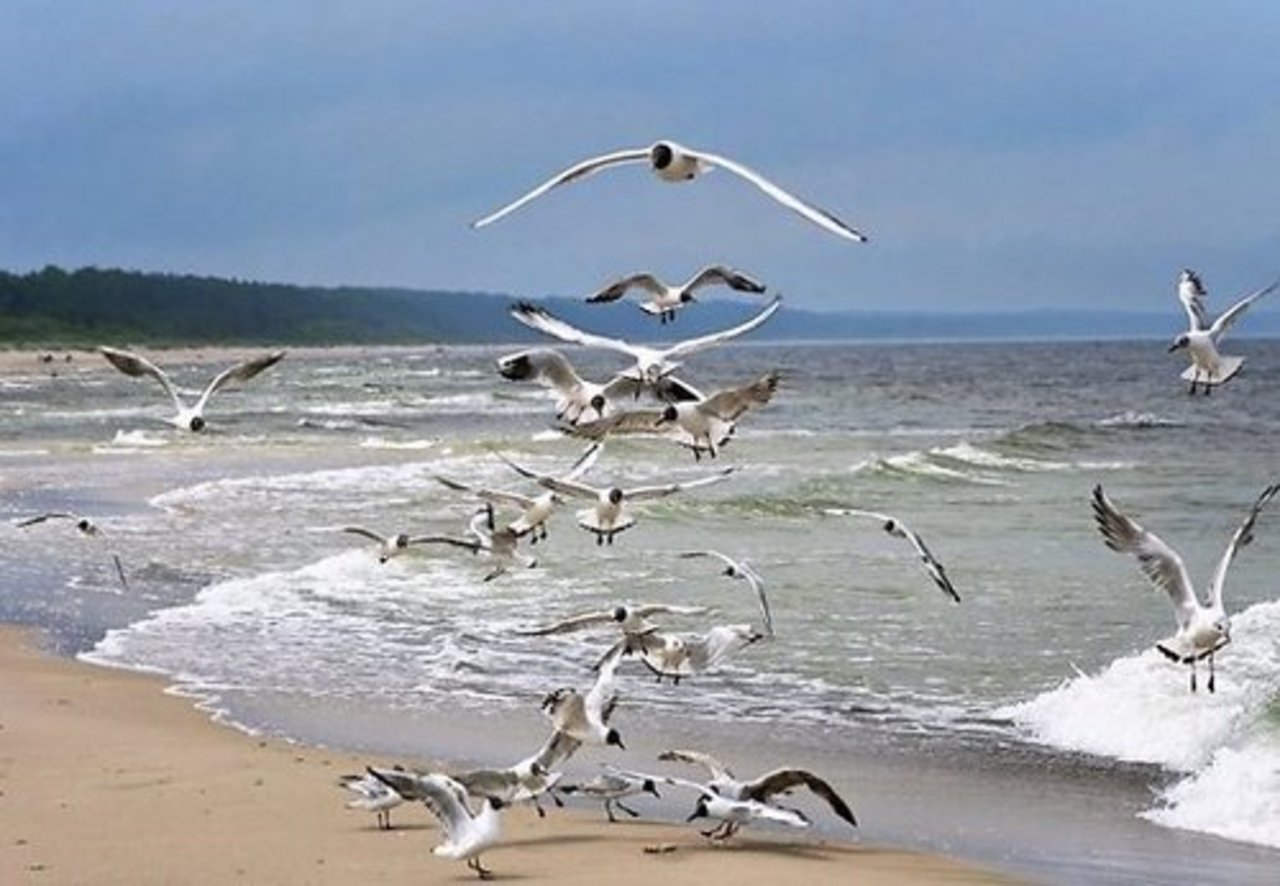 фото: rus.delfi.lv