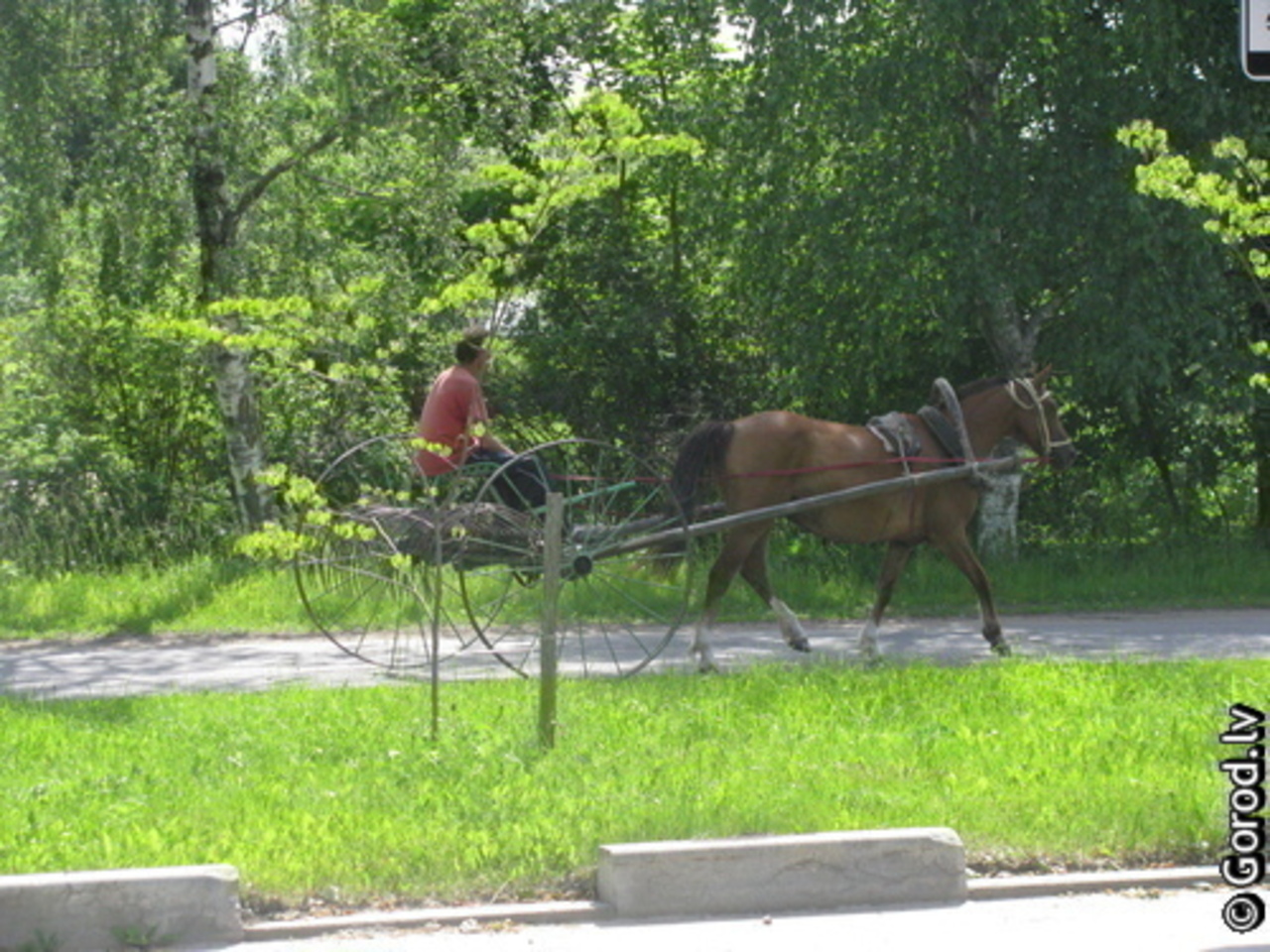 фото: gorod.lv