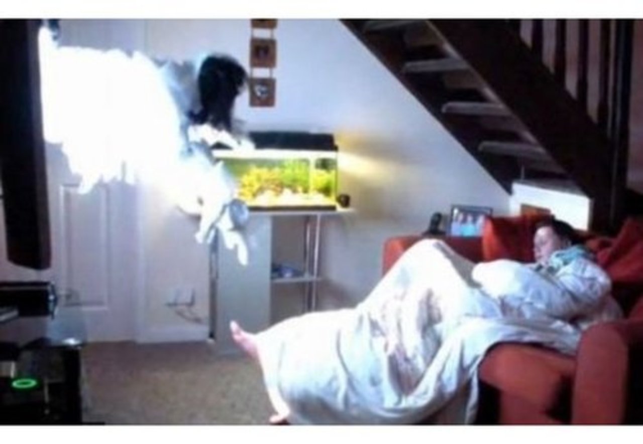 foto: kadrs no video