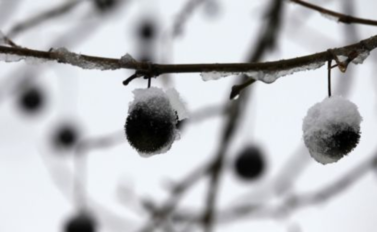 foto: Reuters