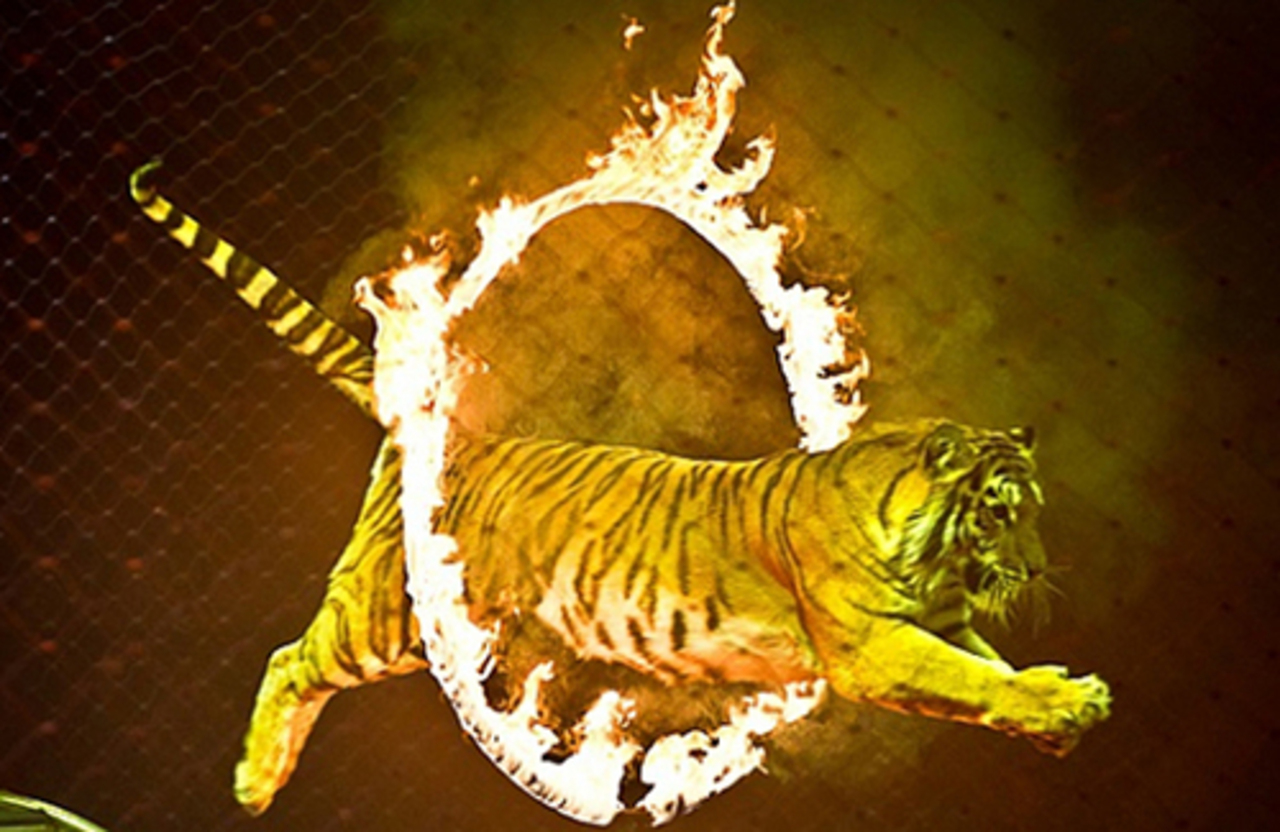 foto: liveinternet.ru
