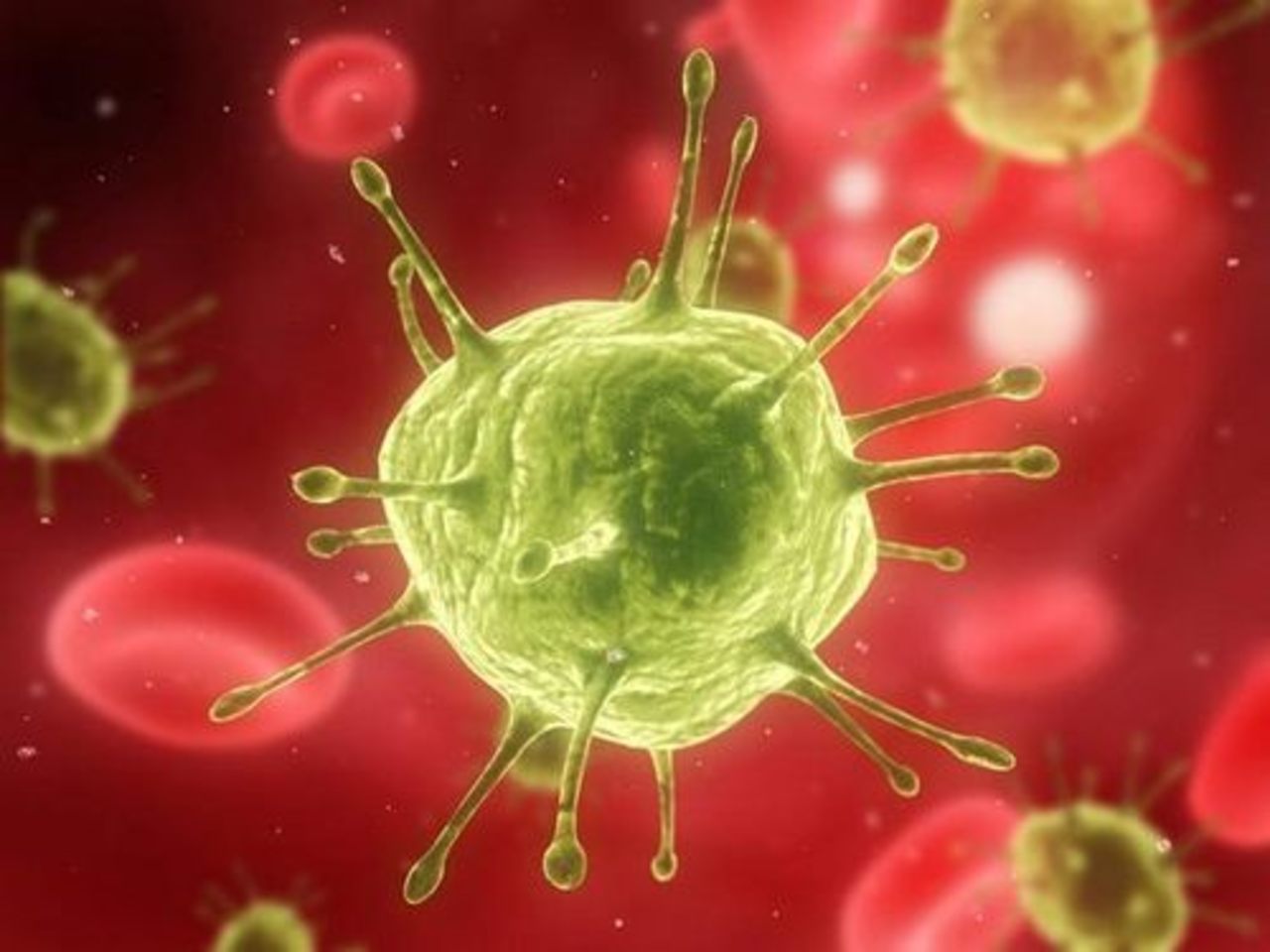 foto: premierpolyclinic.com