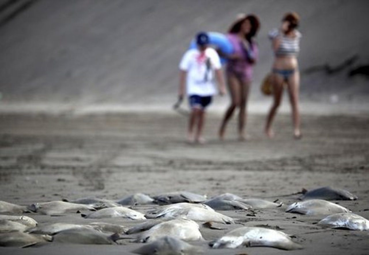 foto: AP