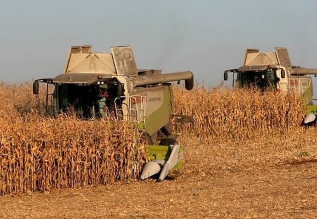 foto: RIA Novosti
