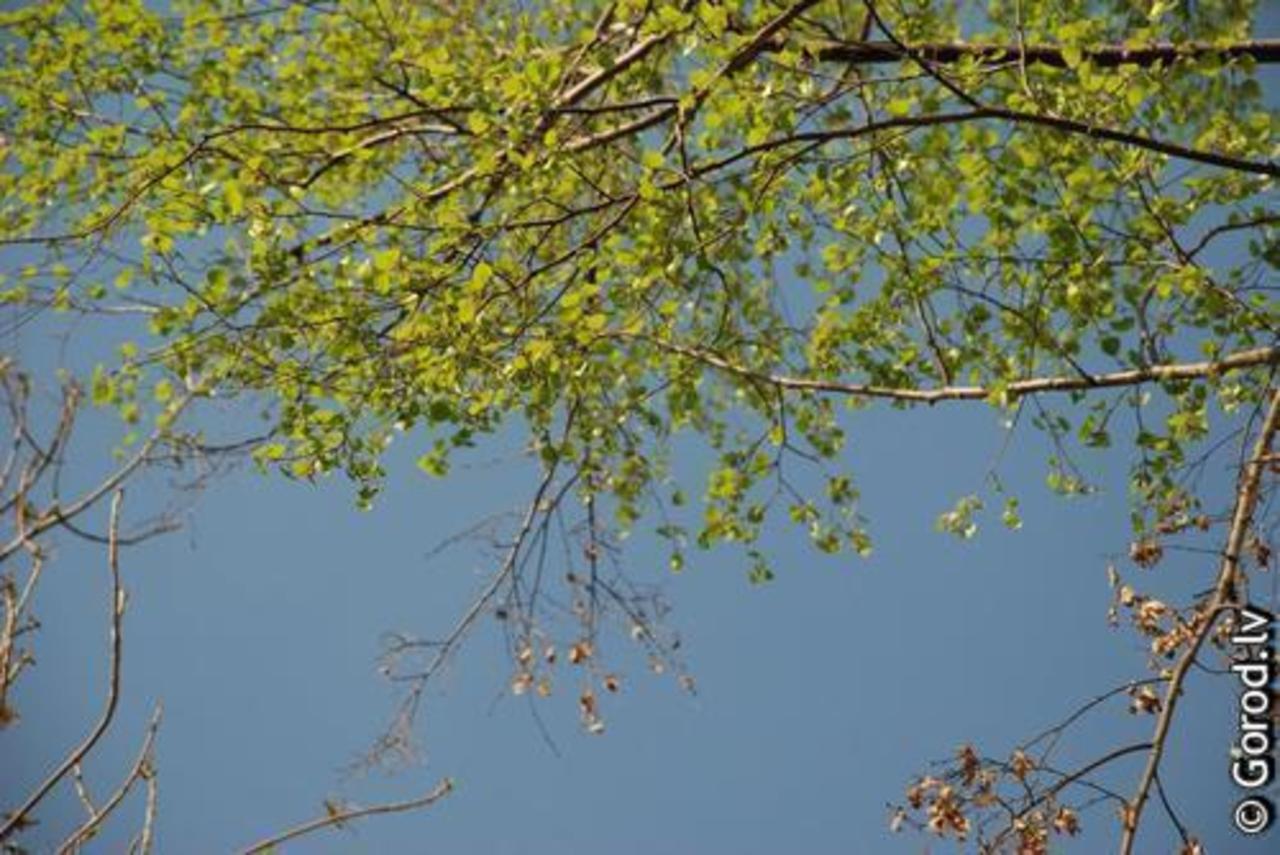 foto: lat.gorod.lv