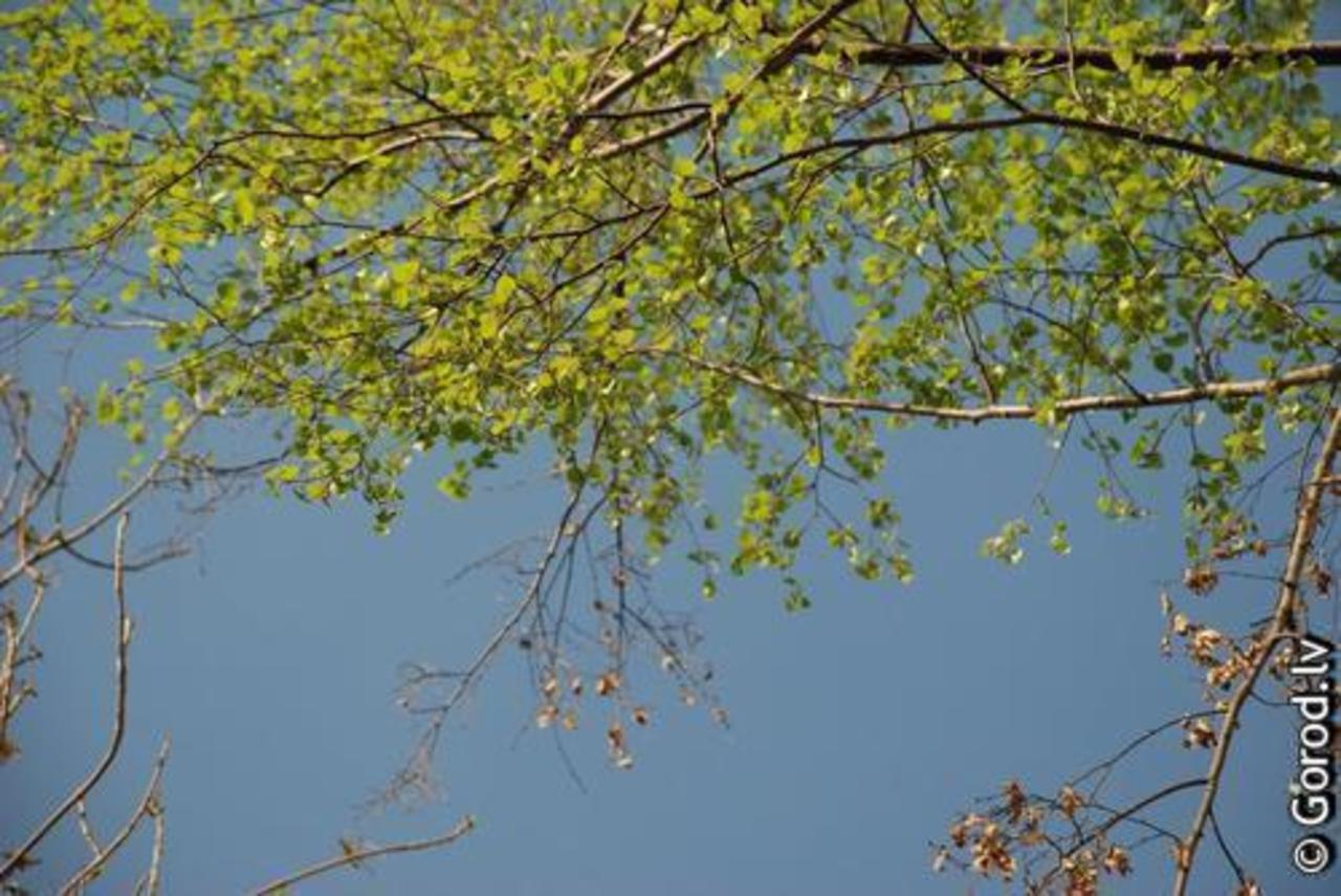 foto: lat.gorod.lv