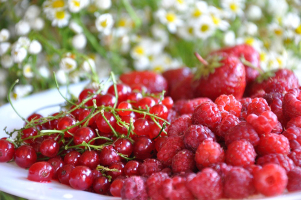 фото: liveinternet.ru