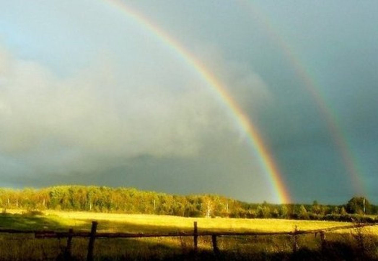 фото: rus.delfi.lv