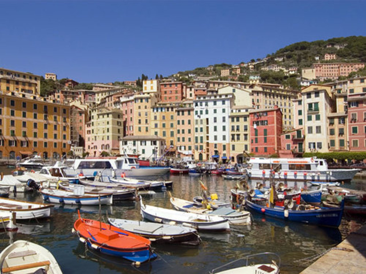 фото: Global Look Press/newsru.com