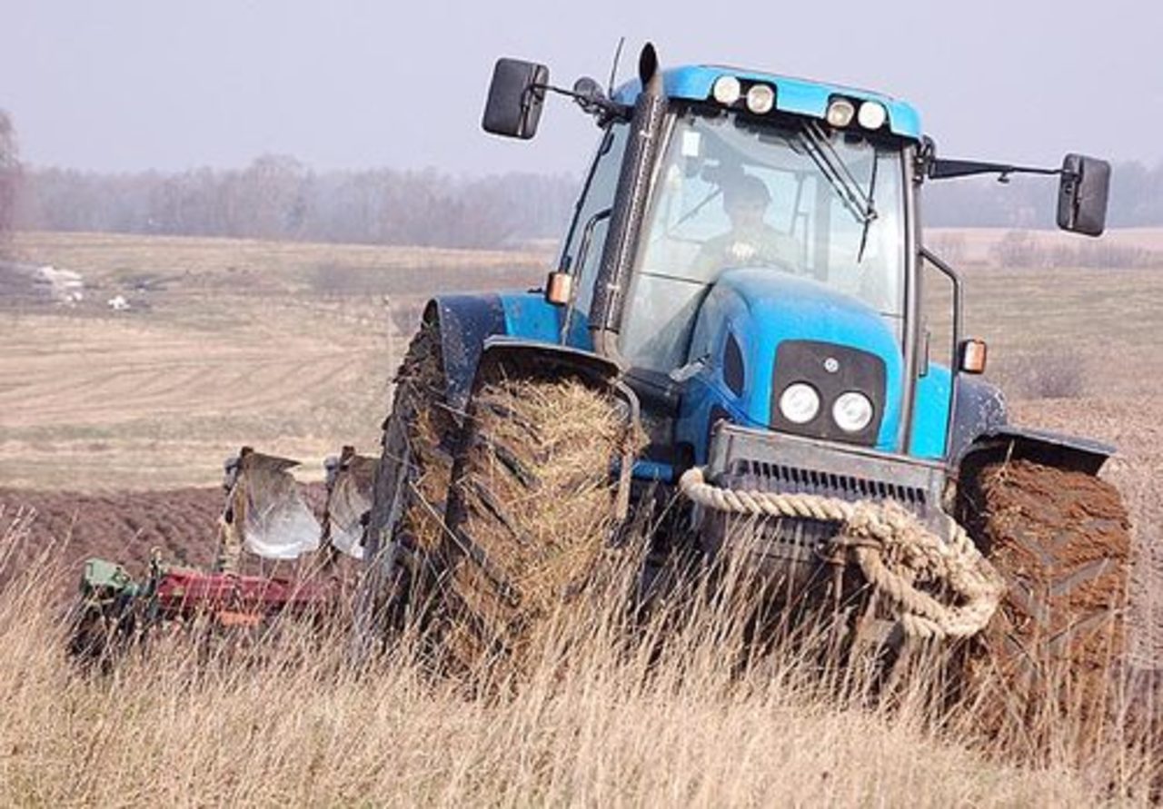 foto: nekrize.lv
