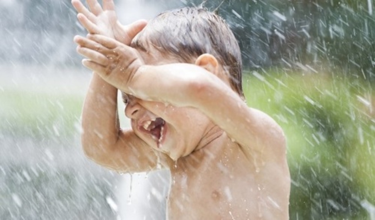 фото: shutterstock.com