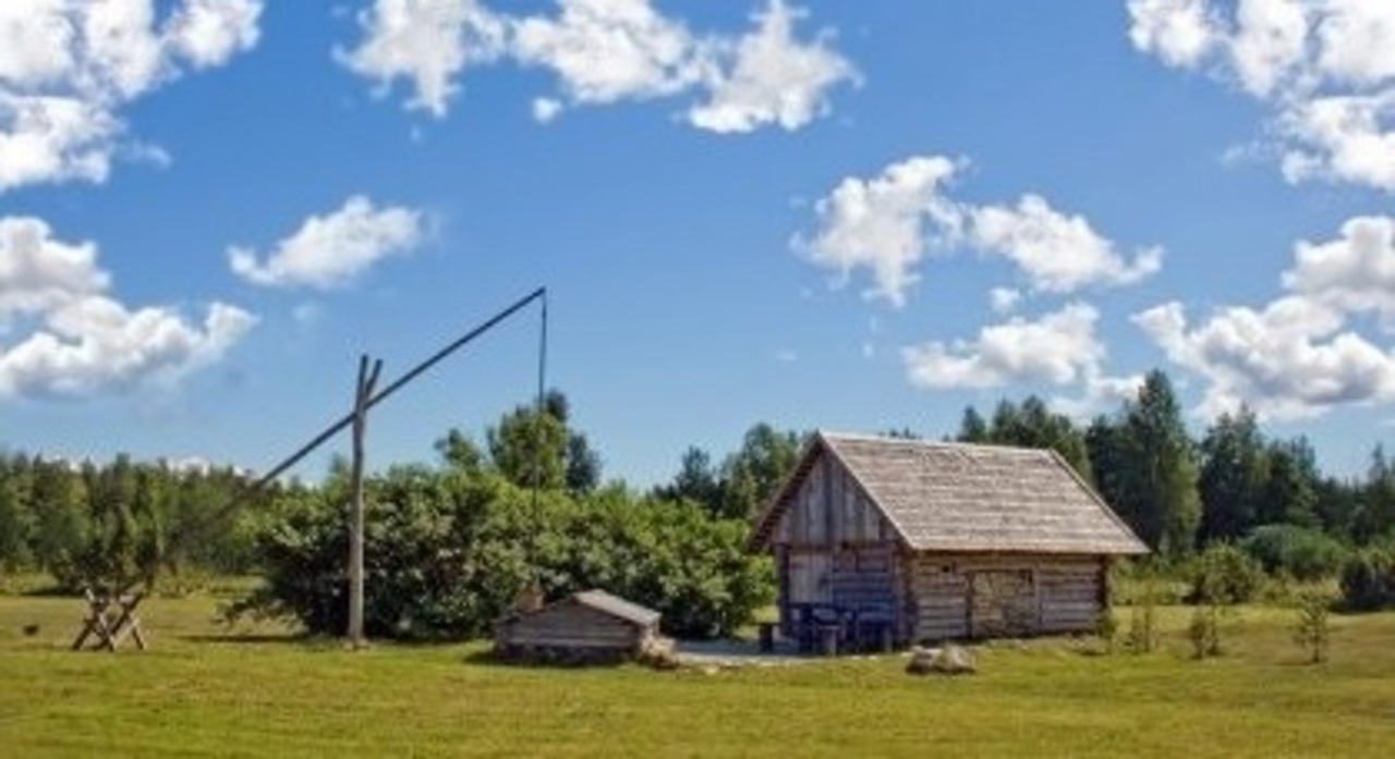 фото: rbc.ru