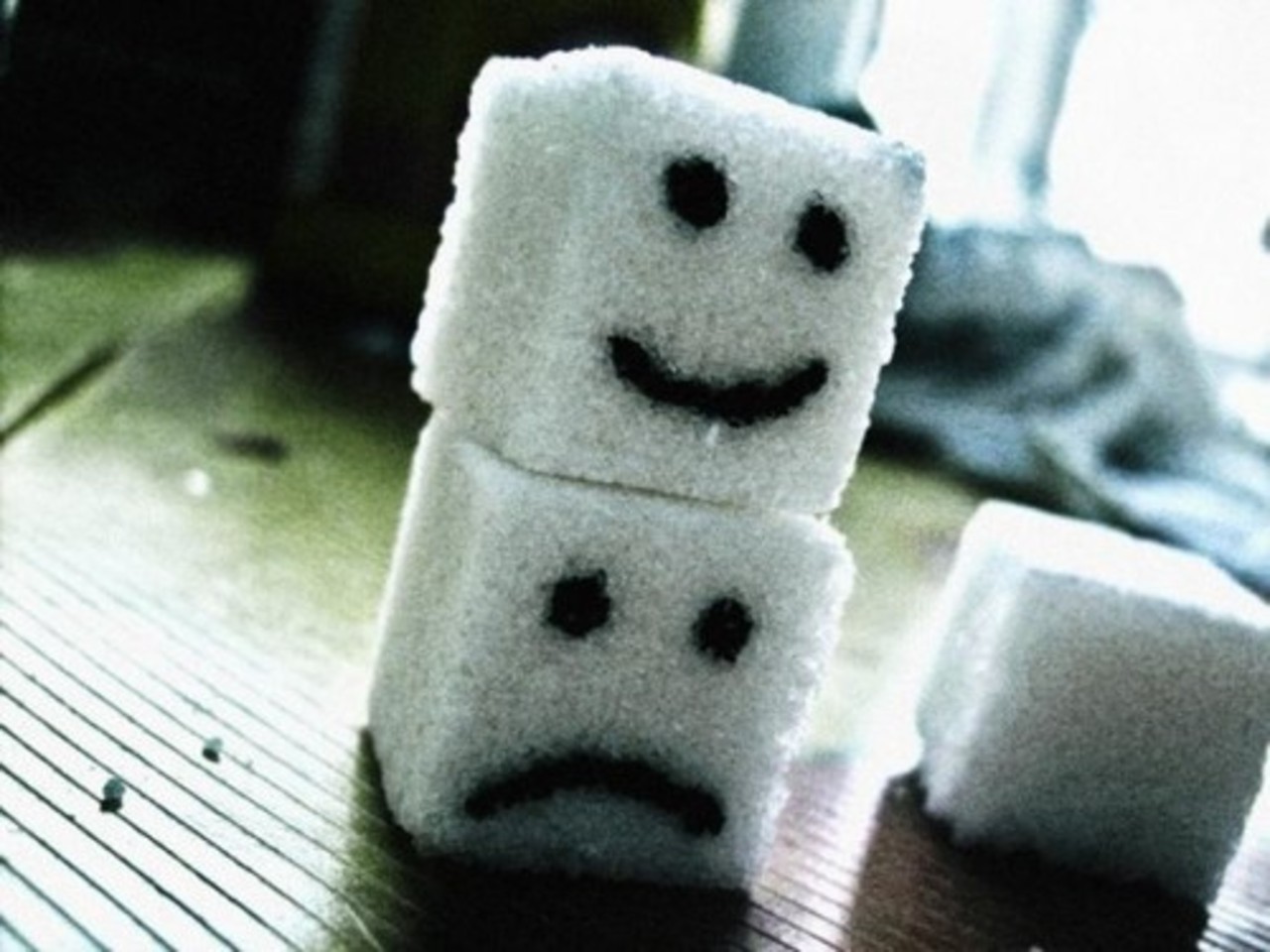 фото: scienceblog.ru