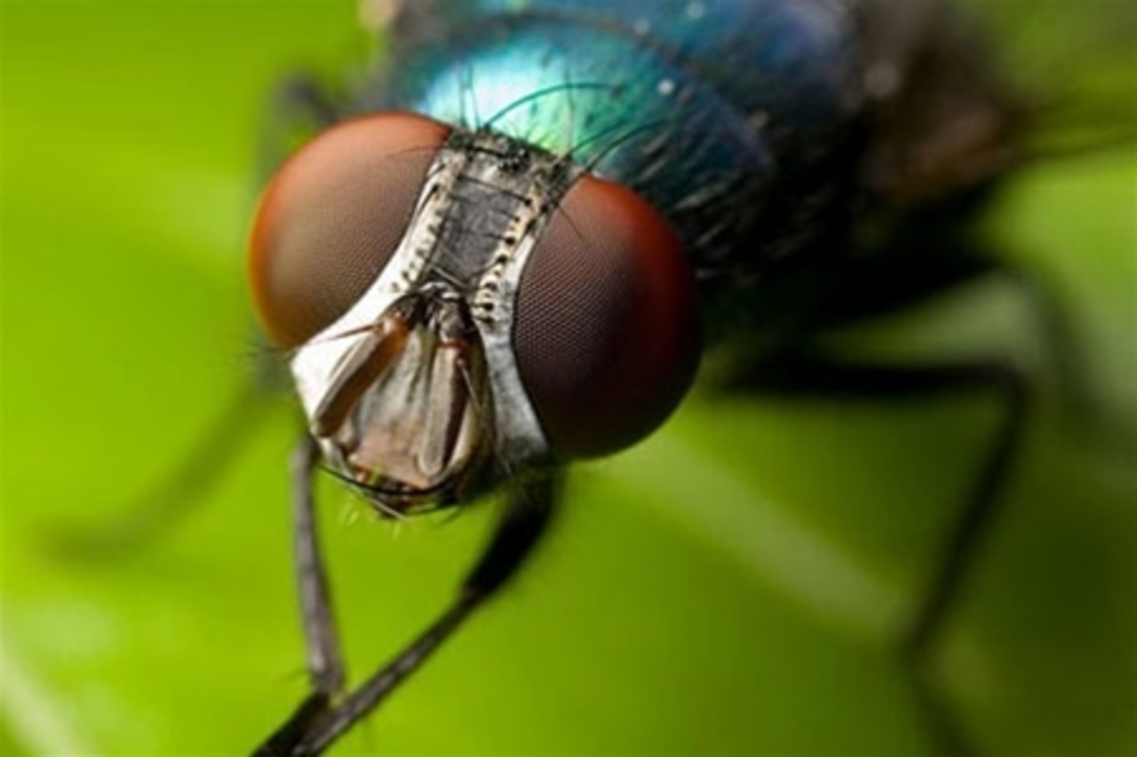 фото: planete-zemlya.ru