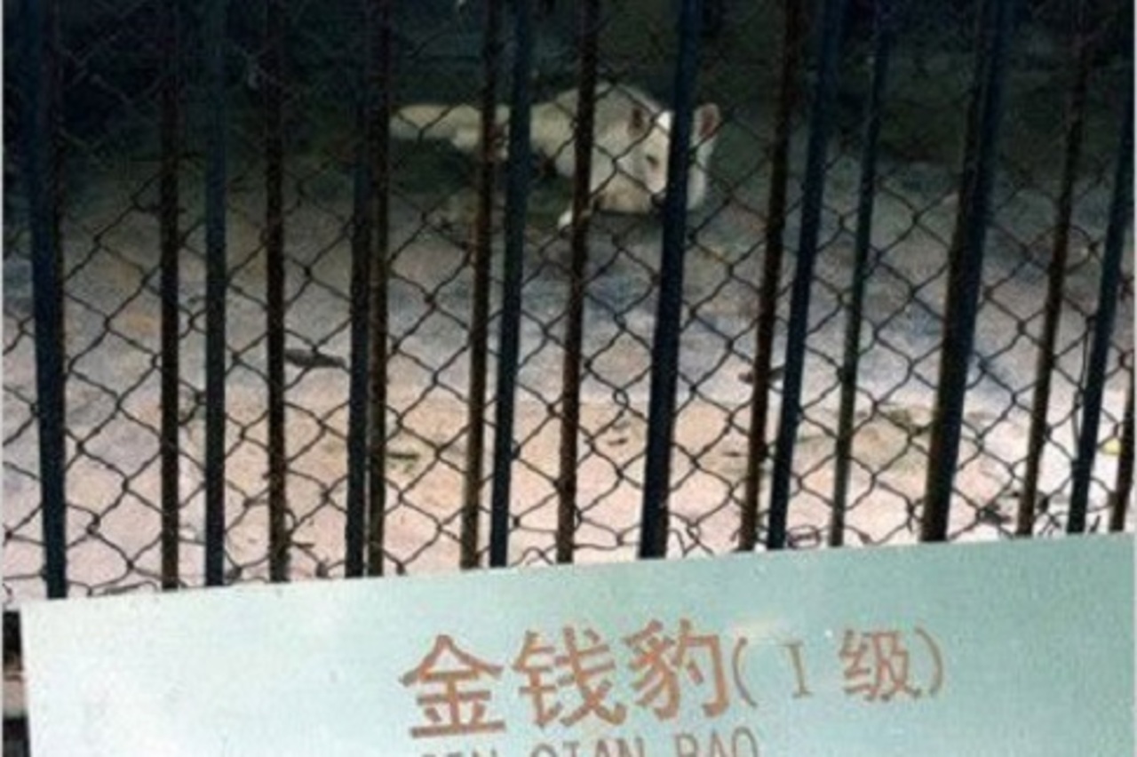 фото: china.org.cn