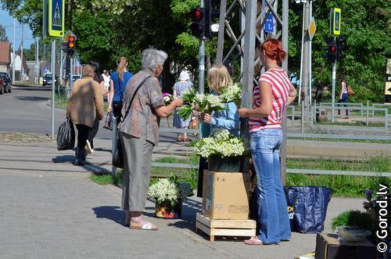 фото: gorod.lv