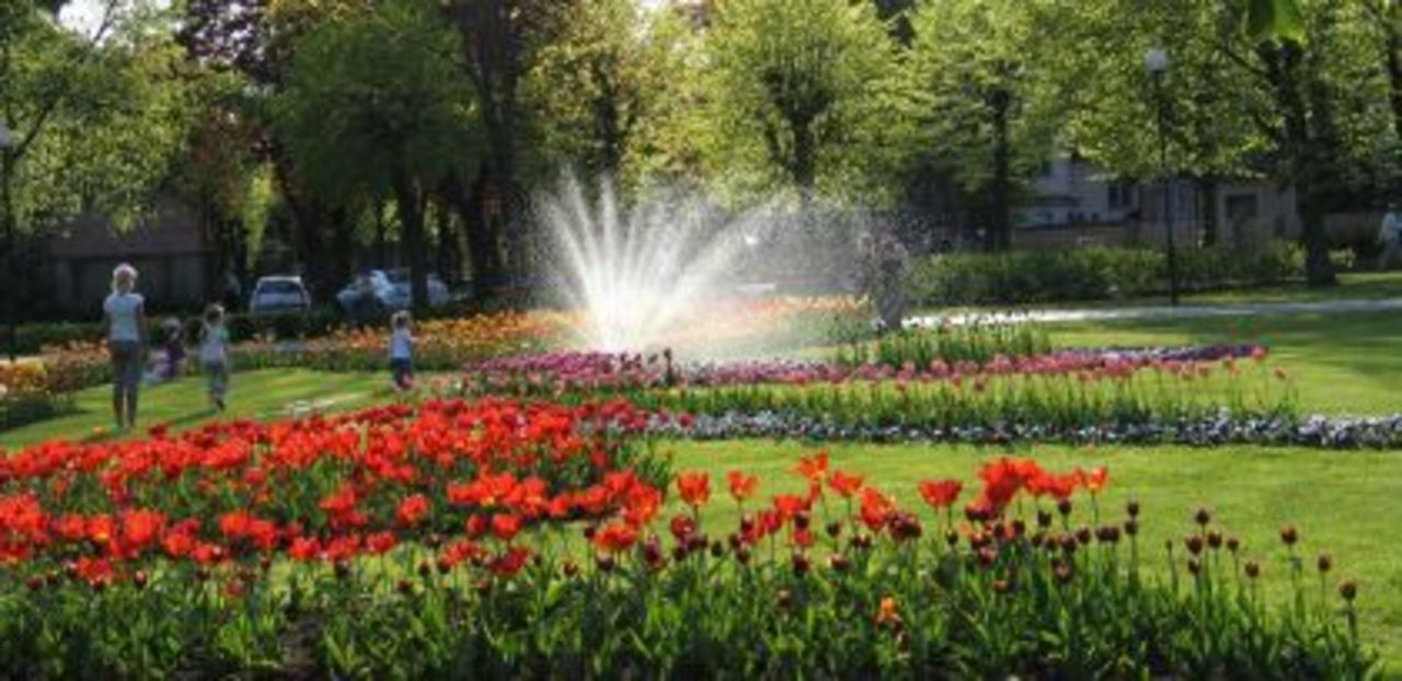 фото: liveriga.com