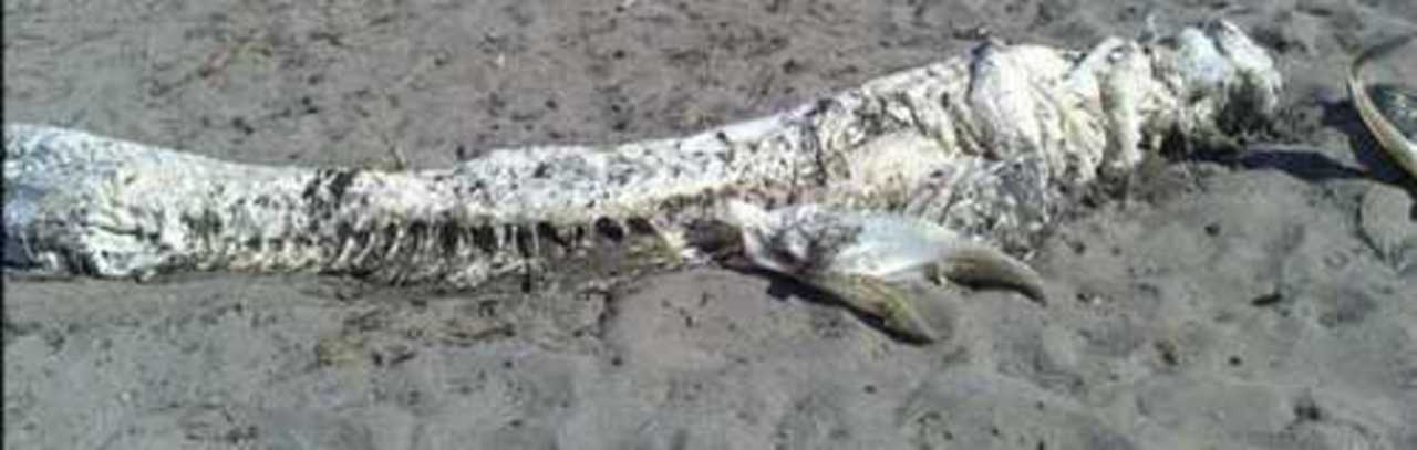 foto: fedpost.ru
