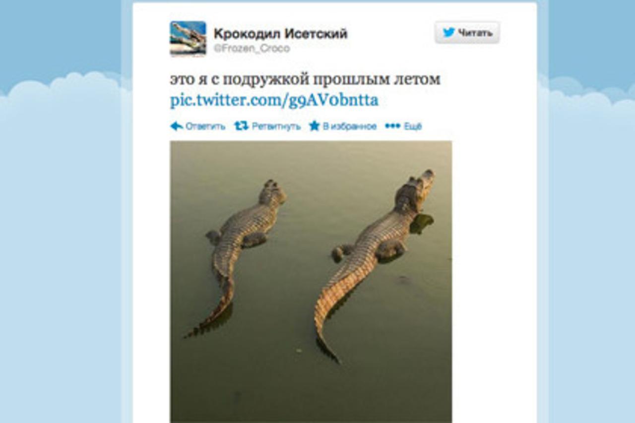 фото: lenta.ru