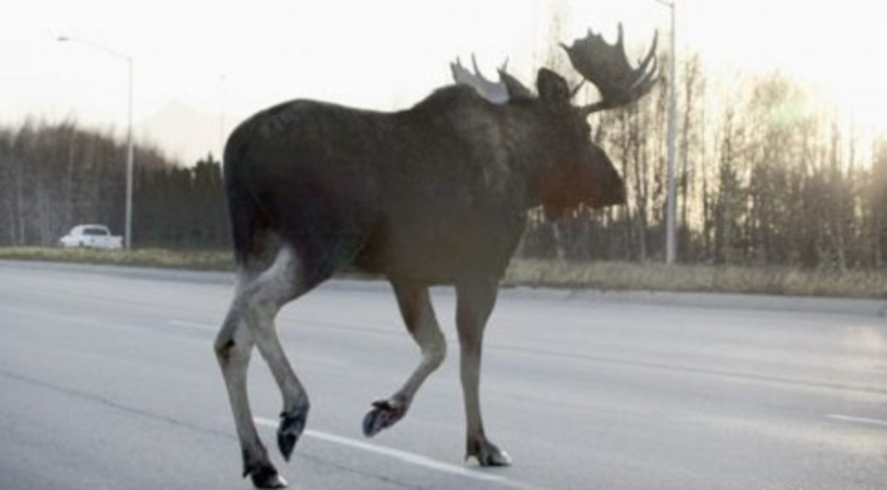 foto: AP