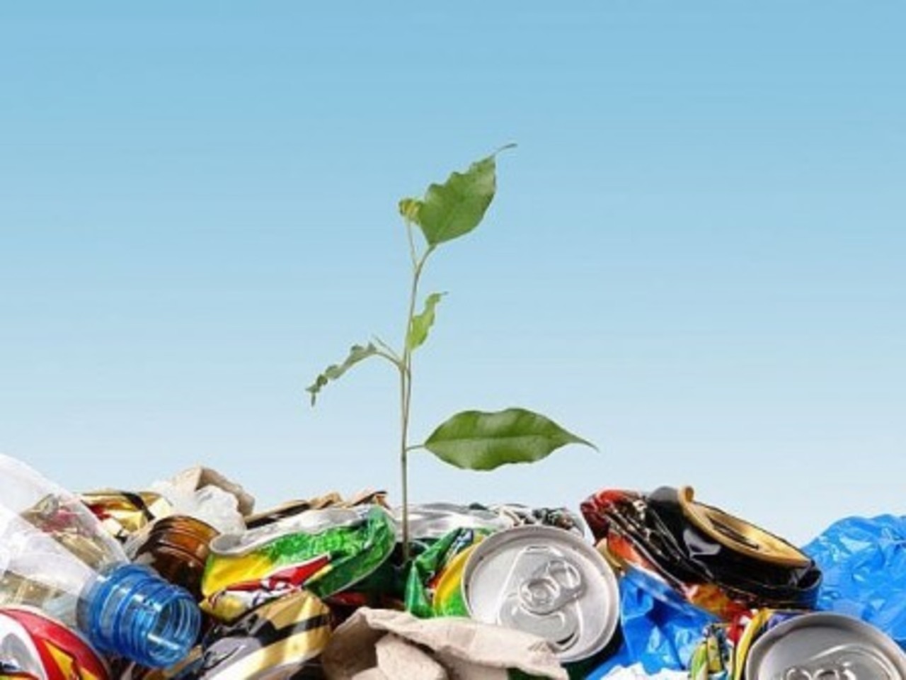 foto: ecobelarus.blog.tut.by