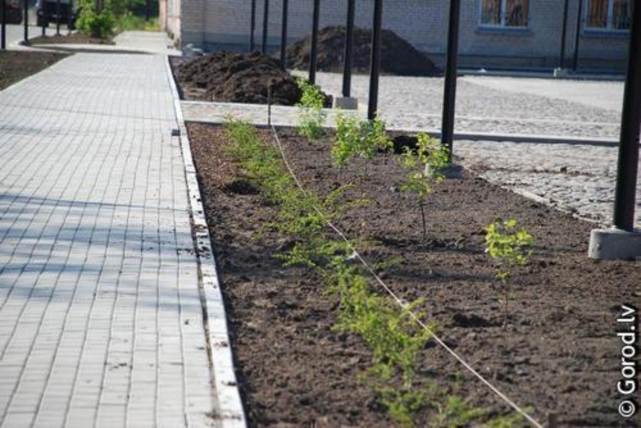 фото: gorod.lv
