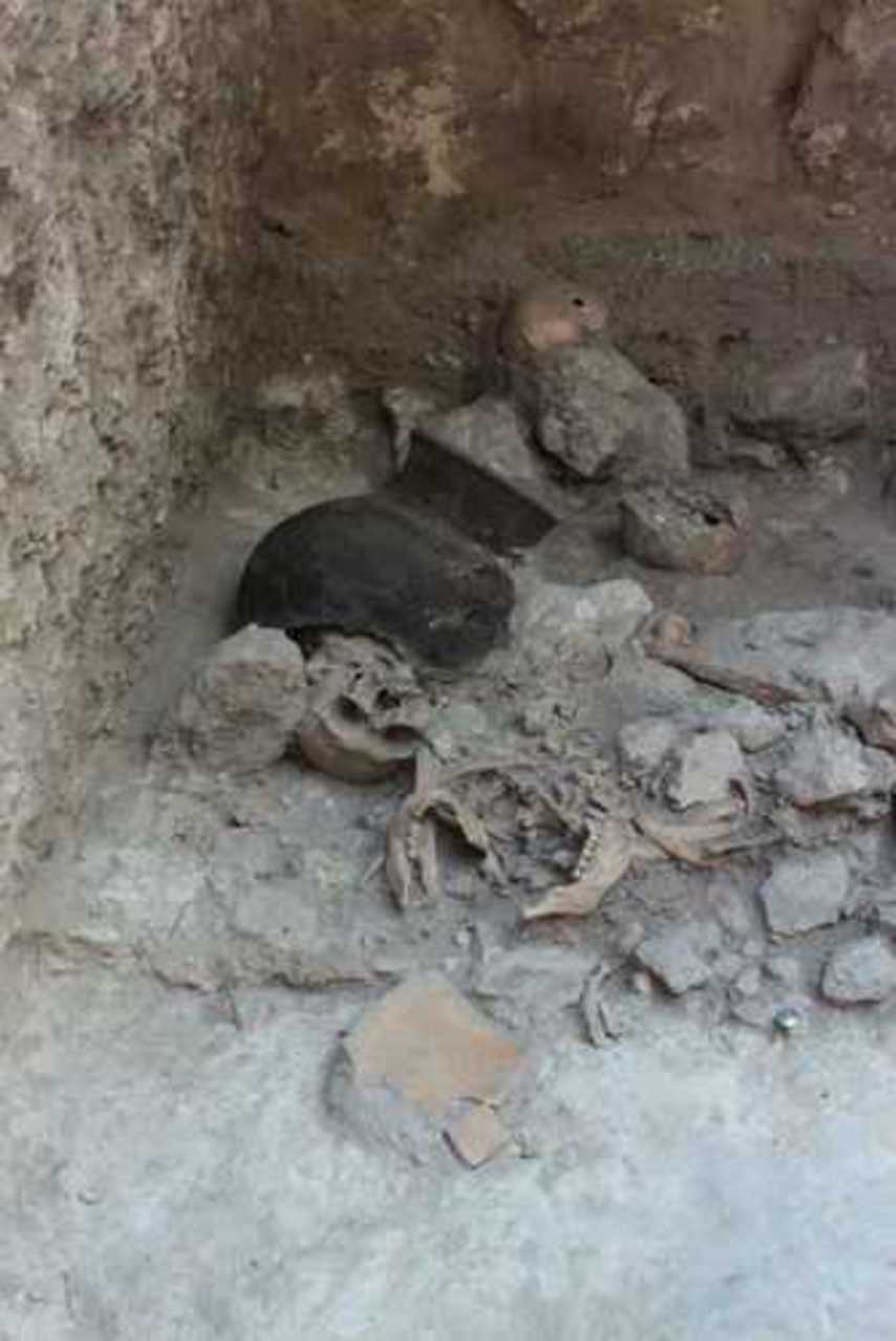 foto: livescience.com