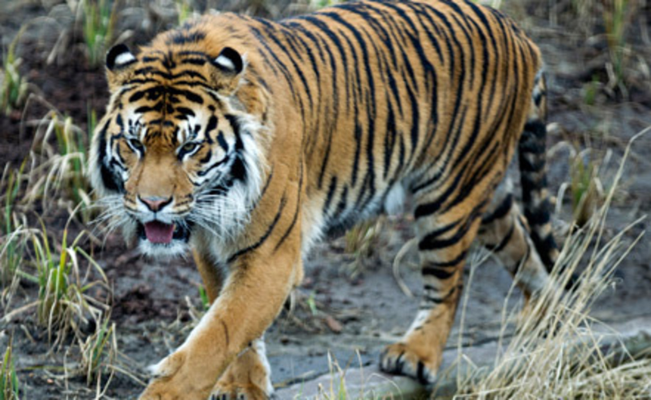 фото: news.mail.ru