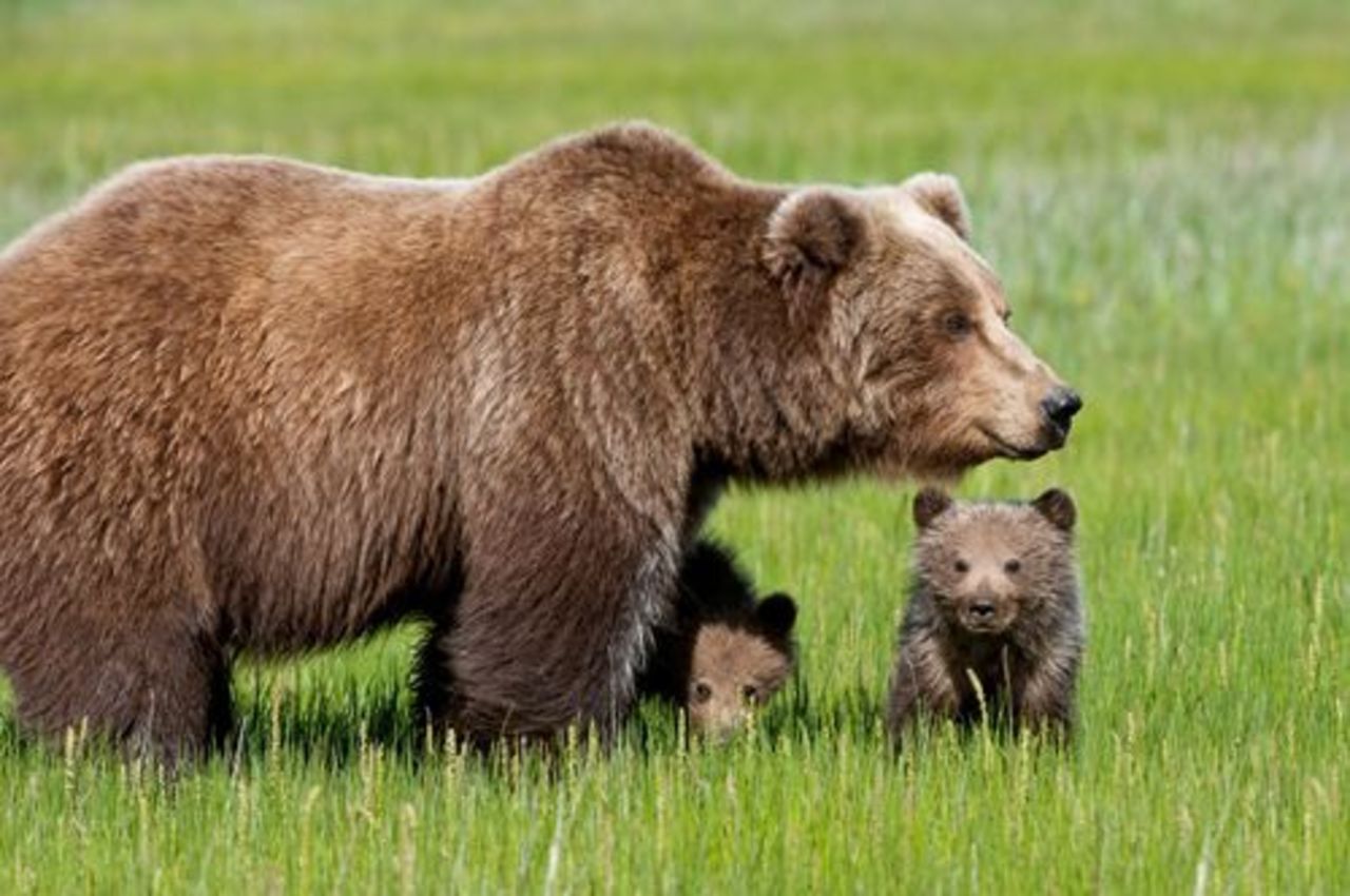 foto: usiter.com