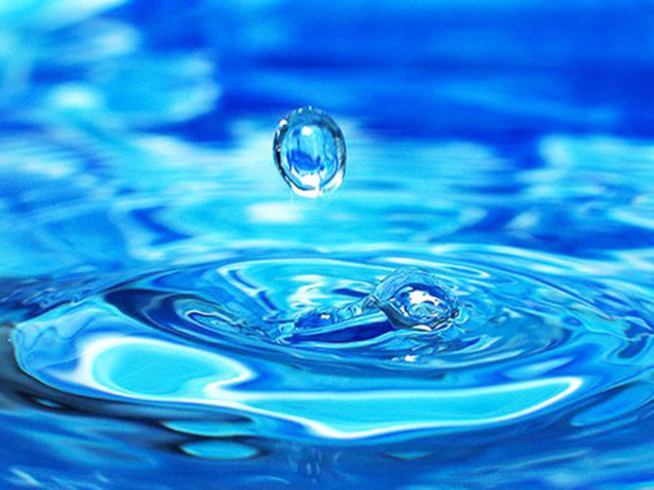 фото: aqua-life.ru