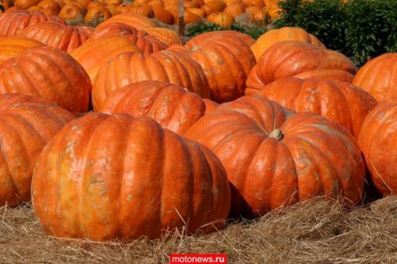 фото: motonews.ru