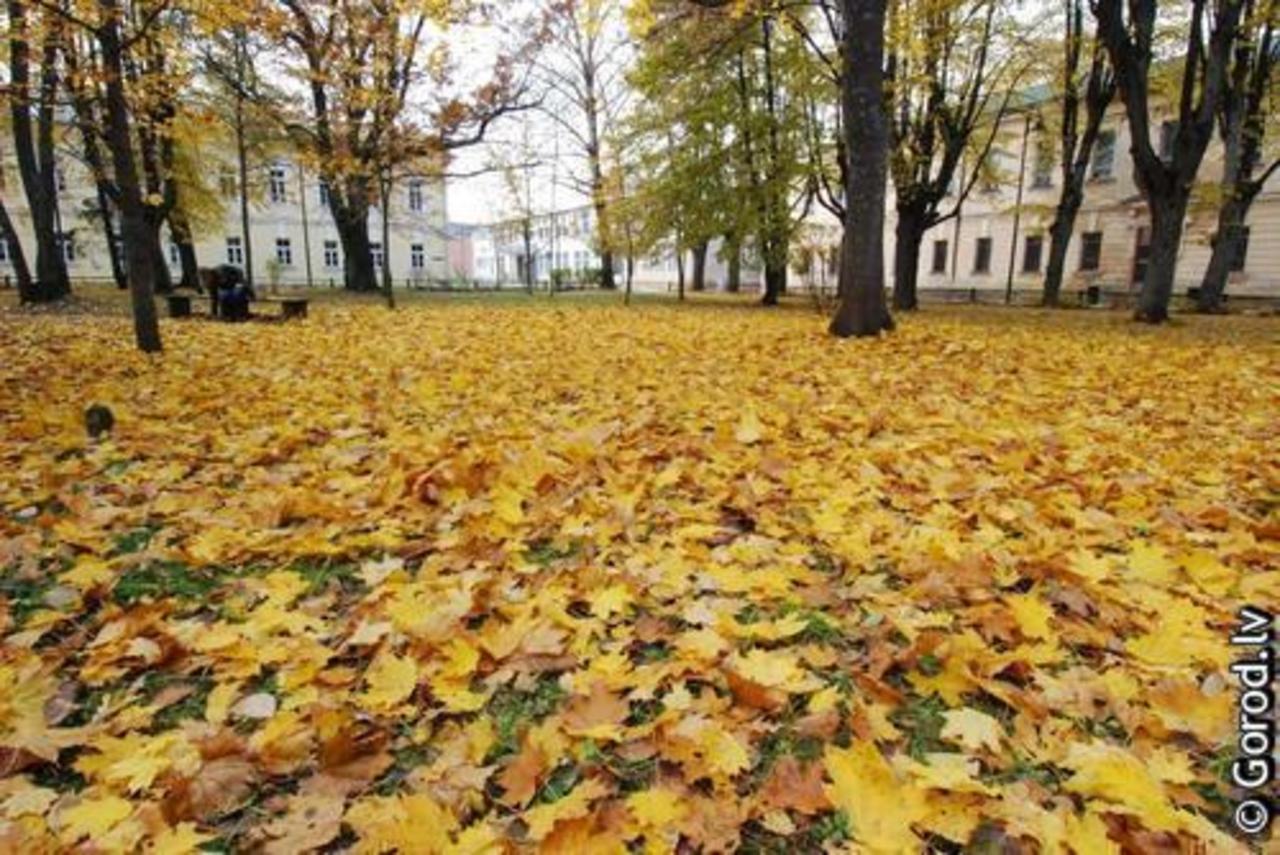 фото: gorod.lv