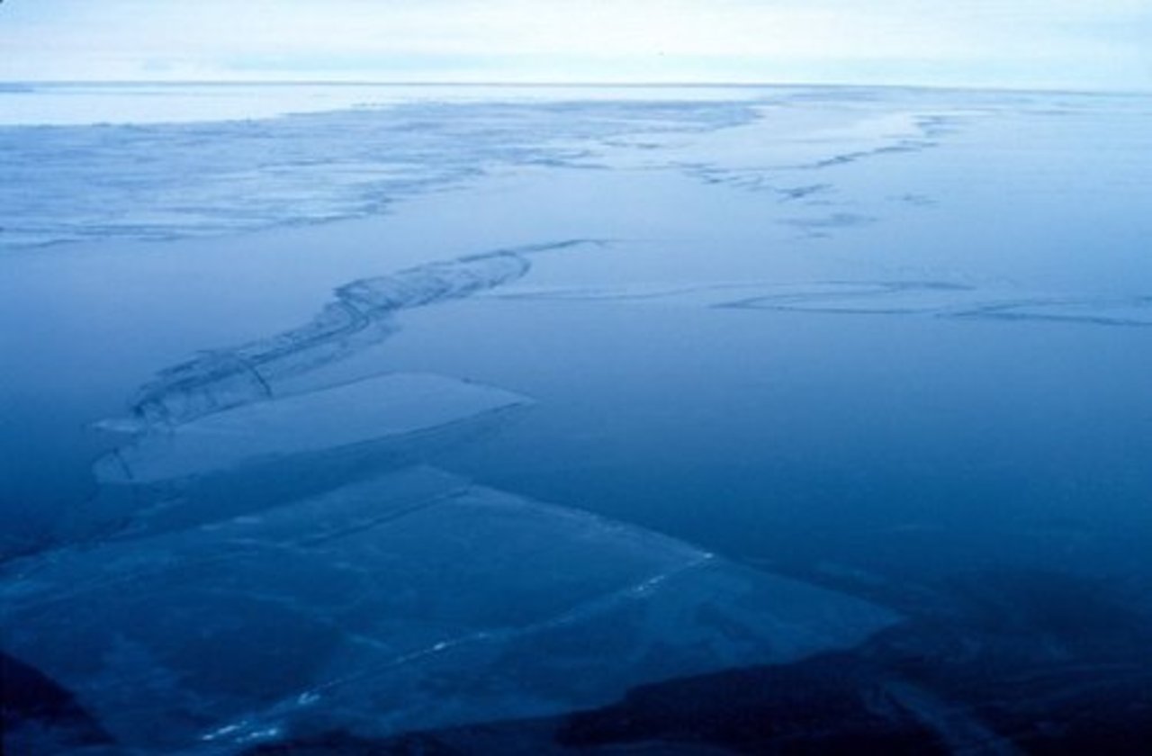 фото: wikimedia.org